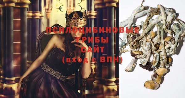 ECSTASY Абдулино