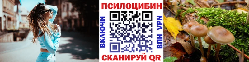 Галлюциногенные грибы Psilocybine cubensis  где можно купить   Сухой Лог 